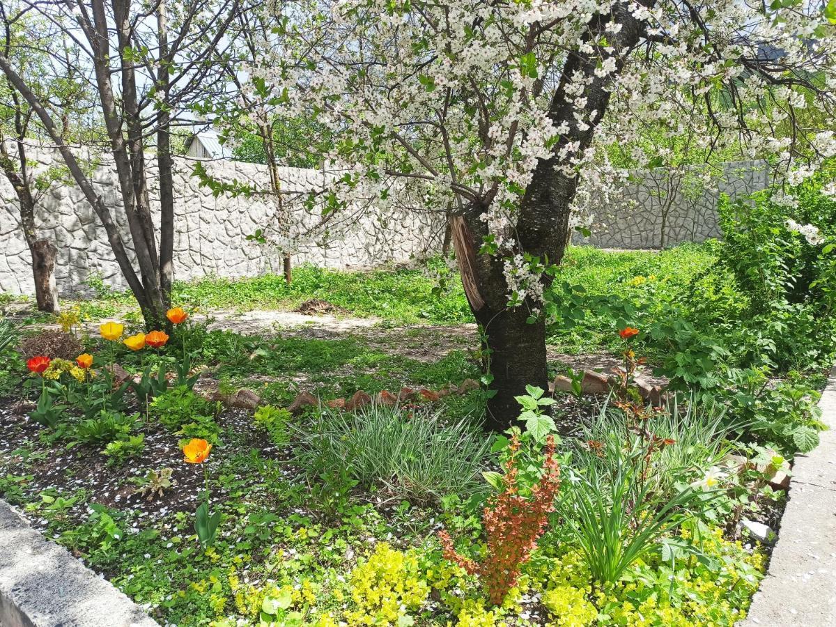 Jermatun Guest House Dilijan Exterior photo
