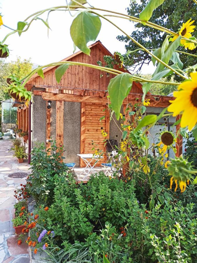 Jermatun Guest House Dilijan Exterior photo